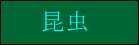昆虫